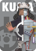 Cargar imagen en el visor de la galería, One Piece Blind Box - Hidden Dissectibles - Shichibukai