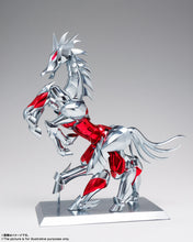 Cargar imagen en el visor de la galería, Saint Seiya - Myth Cloth EX - Hagen de Merak Beta