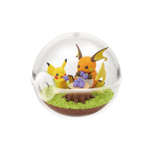Cargar imagen en el visor de la galería, Preventa - Pokemon Blind Box - Terrarium Collecion 14
