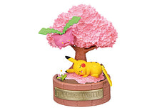 Cargar imagen en el visor de la galería, Preventa - Pokemon Blind Box - A Little Tale of Forest
