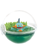 Cargar imagen en el visor de la galería, Preventa - Pokemon Blind Box - Terrarium Collection 12
