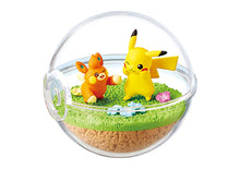 Cargar imagen en el visor de la galería, Preventa - Pokemon Blind Box - Terrarium Collection Ex Paldea
